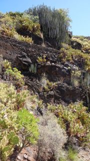 2022-04-GranCan-Agaete-Trekking_view-PM-NN-036.JPG